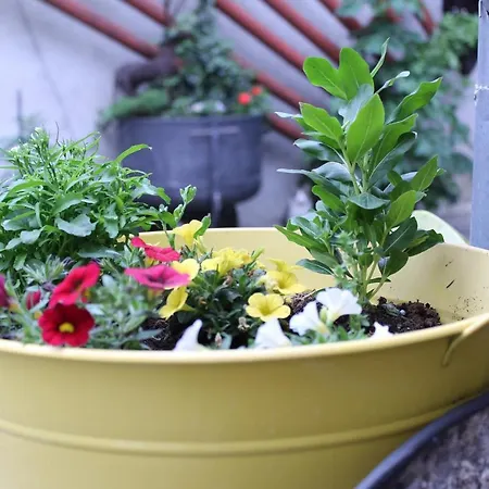 Caffe & Grill Gasthof